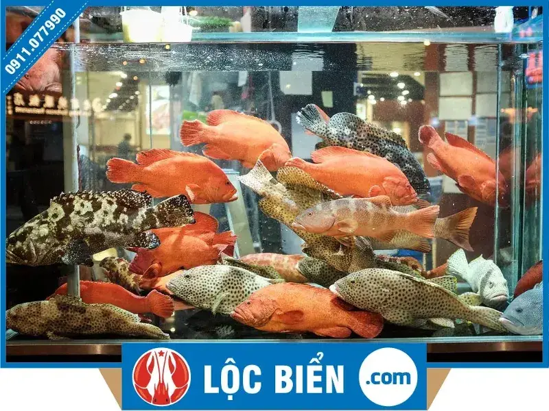 cửa hàng hải sản Tươi sống Hà Nội